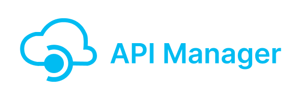 API MuleSoft Developer