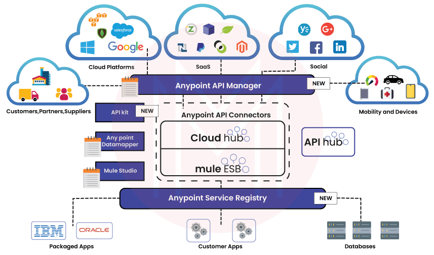 overview of mulesoft Developer